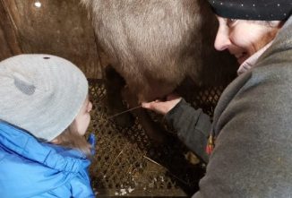 Goat Milk and Life